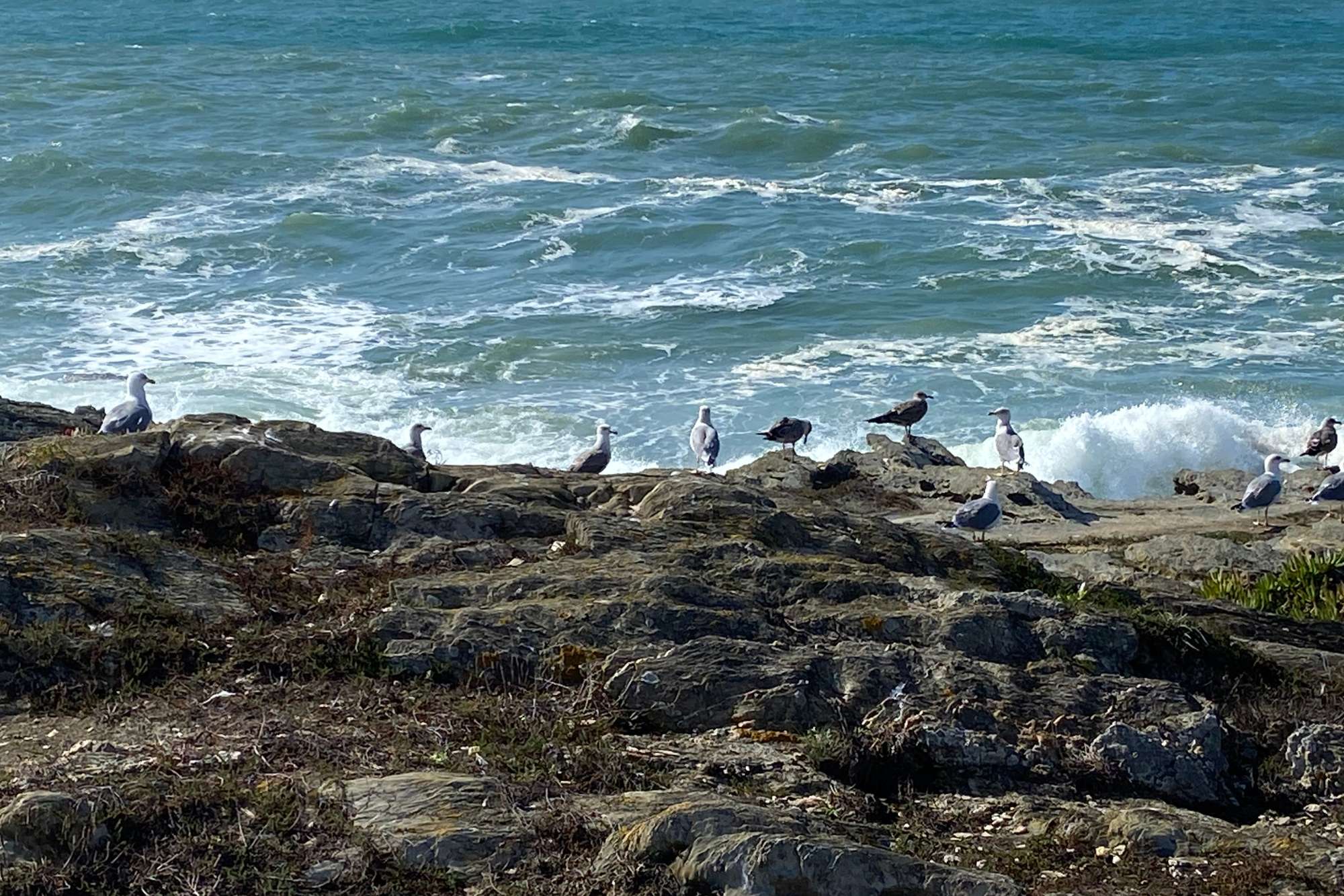 Trilho dos Pescadores, il “sentiero dei Pescatori” del Portogallo