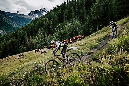 La Thuile bike park con tour pedalato al cospetto del Monte Bianco